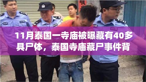 第2699页