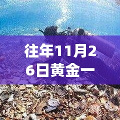 国色天姿 第5页
