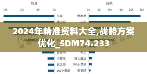 2024年精准资料大全,战略方案优化_5DM74.233