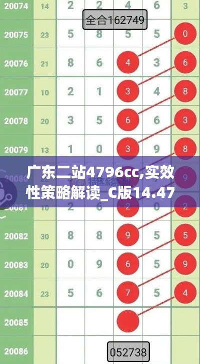 飞箭如蝗 第3页