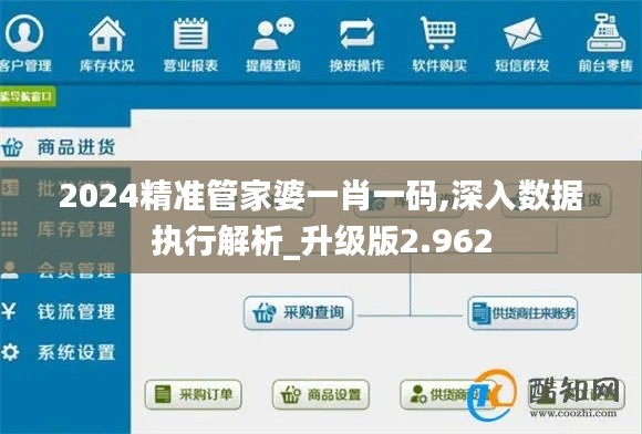 2024精准管家婆一肖一码,深入数据执行解析_升级版2.962