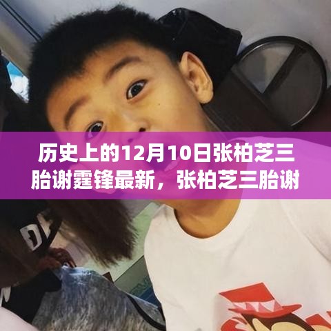 张柏芝三胎谢霆锋与科技焦点，未来高科技产品重塑生活体验
