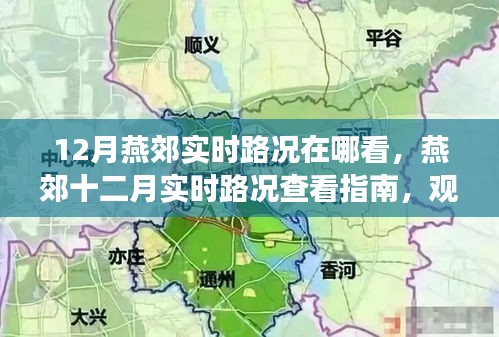 观点阐述