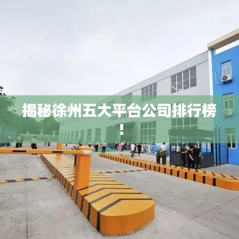揭秘徐州五大平台公司排行榜！