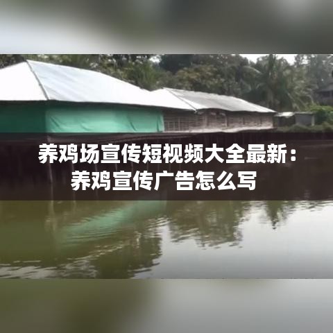 养鸡场宣传短视频大全最新：养鸡宣传广告怎么写 