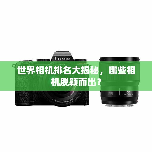 世界相机排名大揭秘，哪些相机脱颖而出？