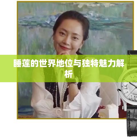 新闻中心 第81页