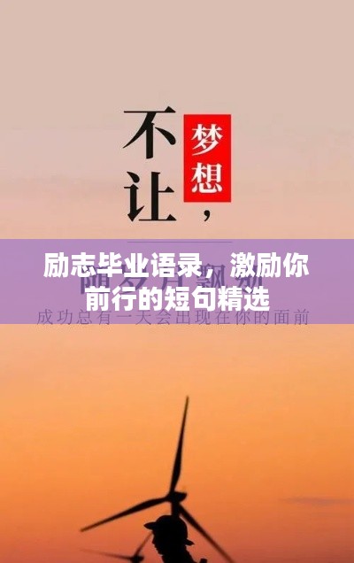 新闻中心 第71页
