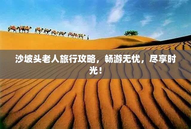 沙坡头老人旅行攻略，畅游无忧，尽享时光！
