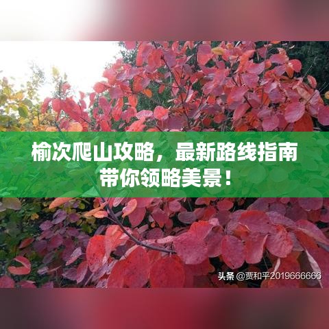 解决方案 第56页