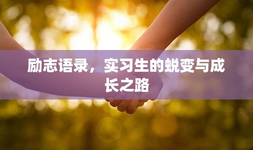 新闻中心 第53页