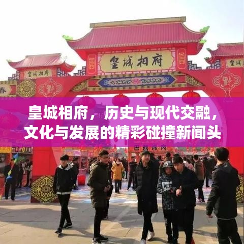 犯而不校 第2页
