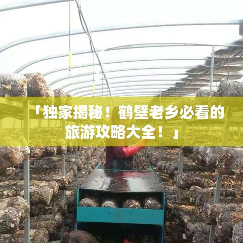 解决方案 第38页