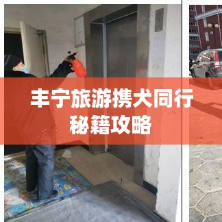 丰宁旅游携犬同行秘籍攻略