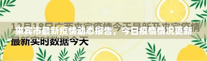 解决方案 第23页