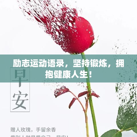 解决方案 第18页