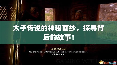 解决方案 第15页