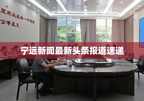 不飞则已
