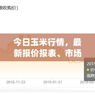2025年5月 第5页