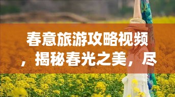 春意旅游攻略视频，揭秘春光之美，尽享春日盛宴！