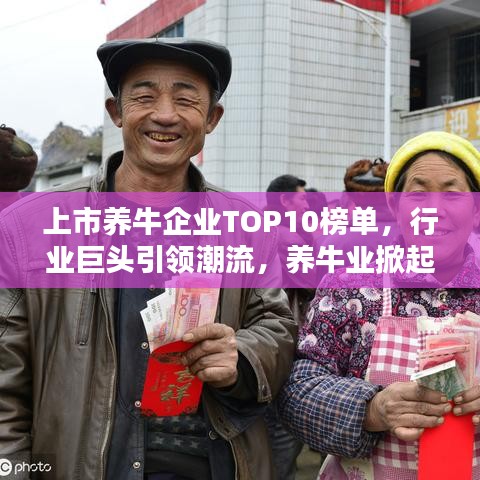 上市养牛企业TOP10榜单，行业巨头引领潮流，养牛业掀起新篇章！