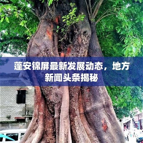 蓬安锦屏最新发展动态，地方新闻头条揭秘