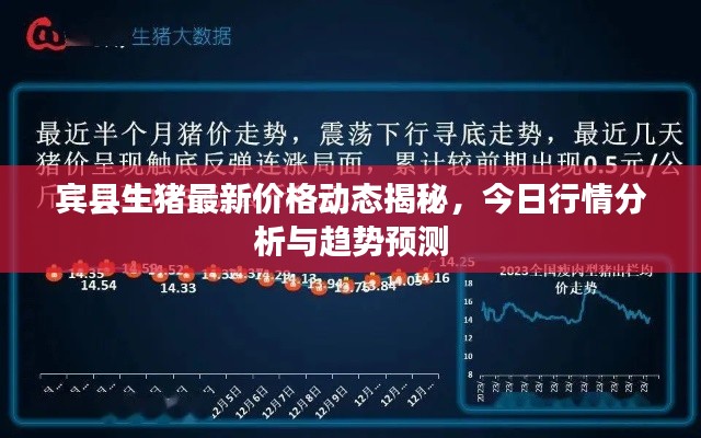 宾县生猪最新价格动态揭秘，今日行情分析与趋势预测