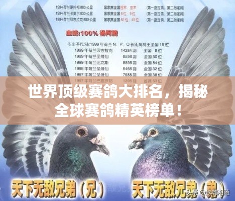 2025年5月15日