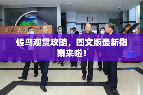 候鸟观赏攻略，图文版最新指南来啦！