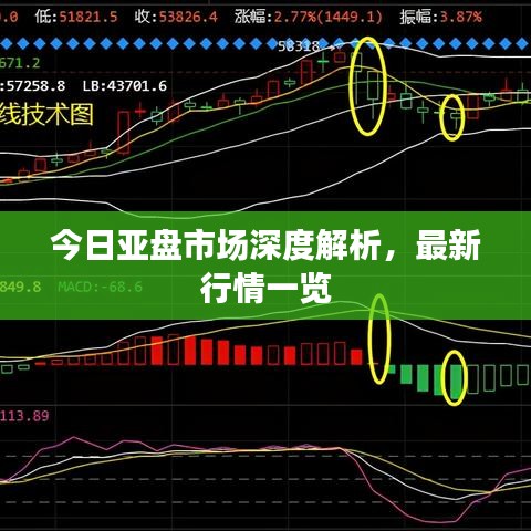 今日亚盘市场深度解析，最新行情一览