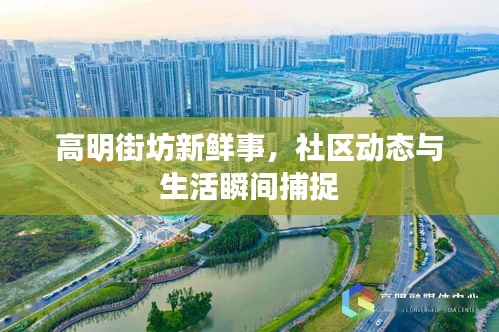 高明街坊新鲜事，社区动态与生活瞬间捕捉