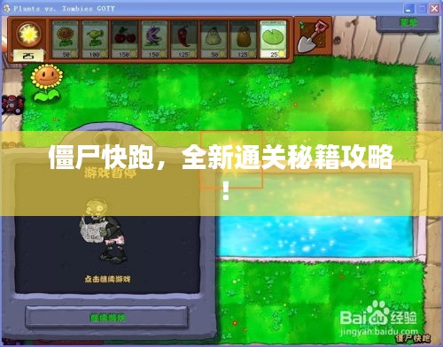 2025年5月24日 第5页