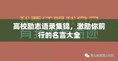 2025年5月25日