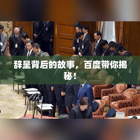 关于我们 第10页