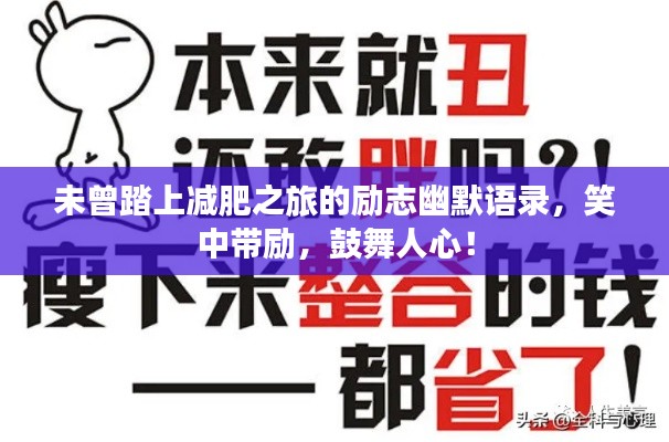 飞蝗芜湖