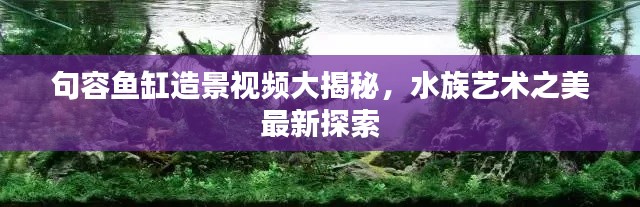 2025年6月8日 第2页