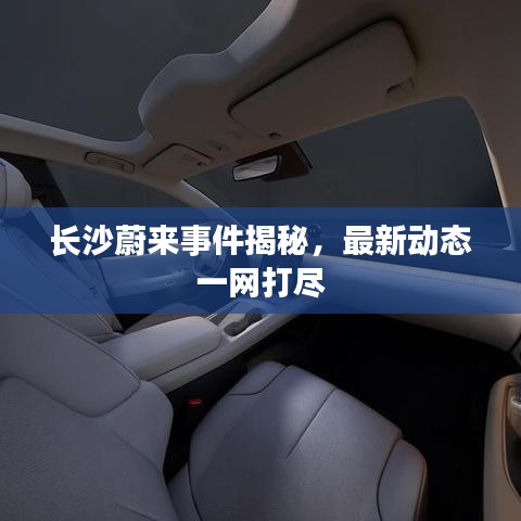 手舞足蹈