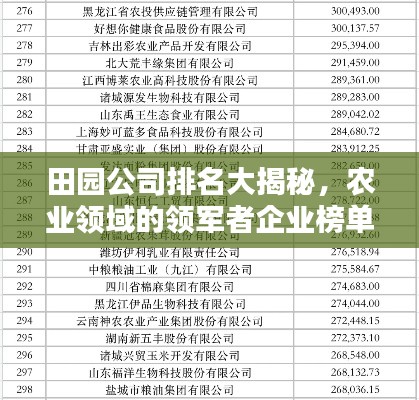 采椽不斫