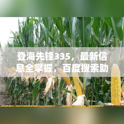 登海先锋335，最新信息全掌握，百度搜索助你轻松了解