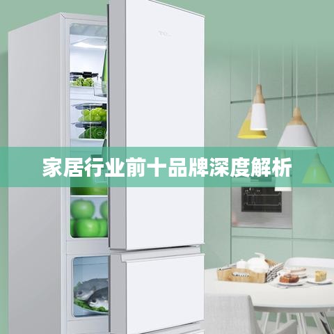 家居行业前十品牌深度解析